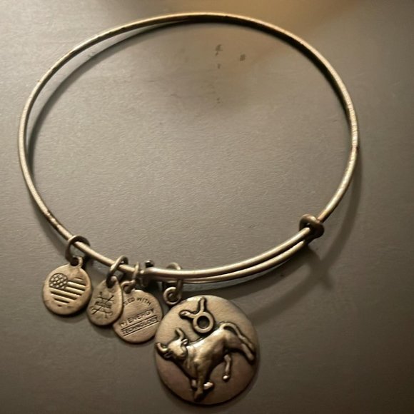 Alex and ani autism bracelet Clearance